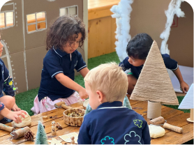 Cognitive Development 