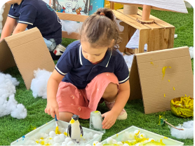 Cognitive Development 