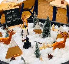 Animals and habitats