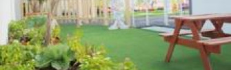 Garden on green floor next to picnic table