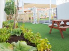 Garden on green floor next to picnic table